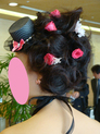 ミニハット♪:(衣装小物:帽子・ハット,カラードレス用)